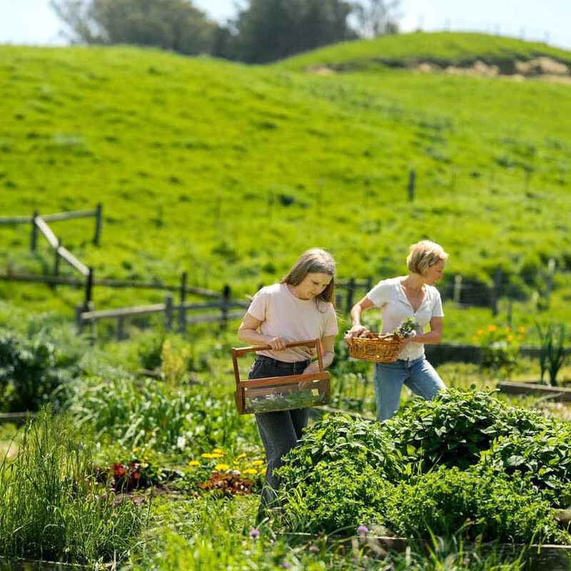 Feasts On The Farm by Tamara Jo Hicks, Jessica & Lynn MacLeod image number 2
