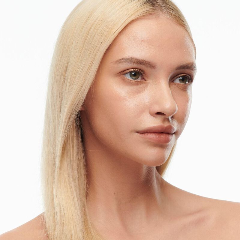 MAC Studio Radiance Serum Powered Foundation image number 104