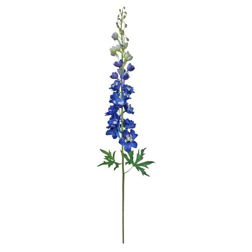 Alison's Acquisitions Tall Early Delphinium Blue
