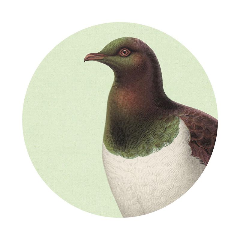 Hushed Green Kereru Art Spot Medium image number 0