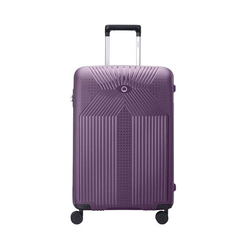 Delsey Ordener 55cm Travel Case