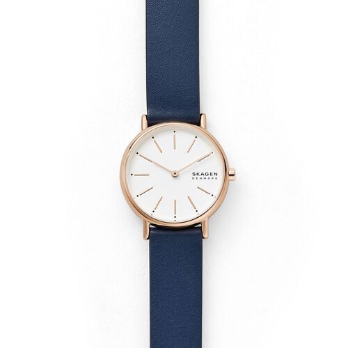 Skagen Signatur Blue Analogue Watch SKW2838