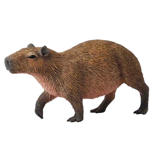 CollectA Capybara (M)