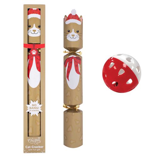 Pet Cat Gold Crackers 14