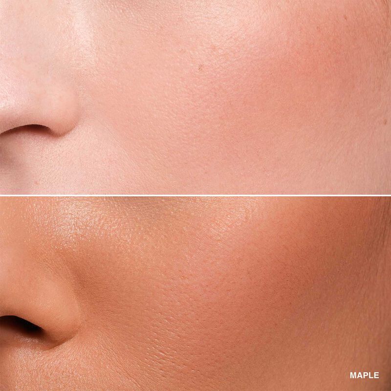 Bobbi Brown Pot Rogue Velvet Matte image number 34