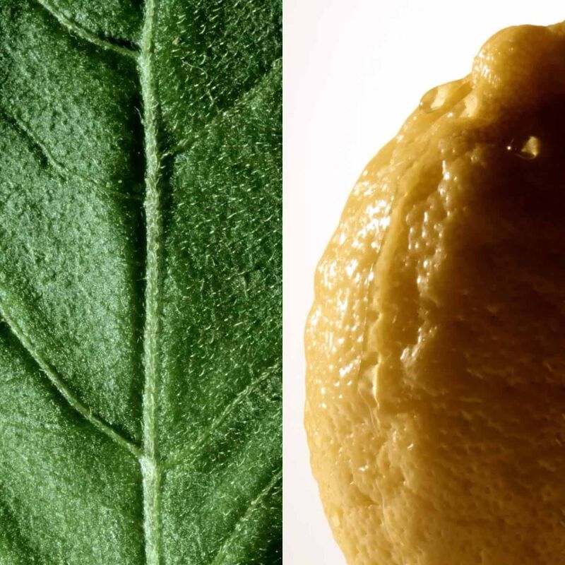 Montblanc Collection Patchouli Ink EDP 125ml image number 2