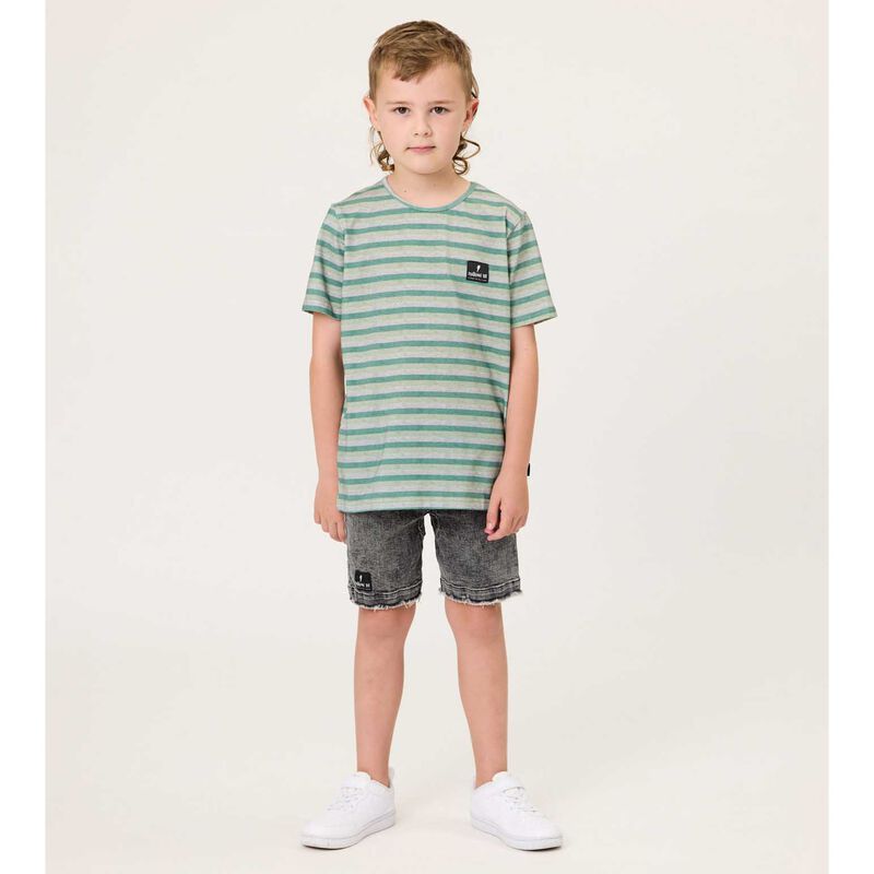 Radicool Dude Grasslands Stripe Tee image number 1