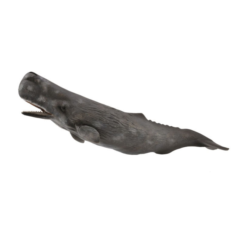 CollectA Sperm Whale Figurine Xl image number 0