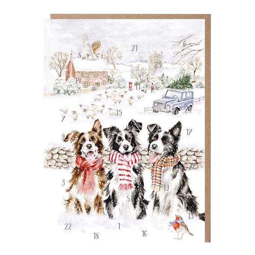 Wrendale 'While Shepherds Watched' Border Collie Advent Calendar