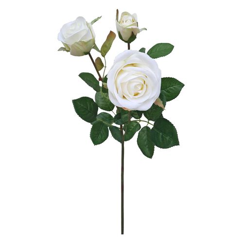 Alison's Acquisitions Abbey Rose Ivory