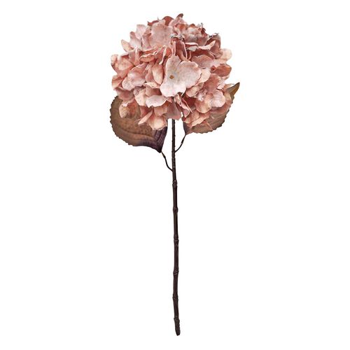 Alison's Acquisitions Fall Hydrangea Blush