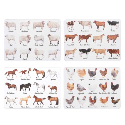 Ashdene Best In Breed 4Pk Assorted Placemat