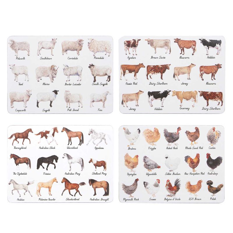 Ashdene Best In Breed 4Pk Assorted Placemat image number 0