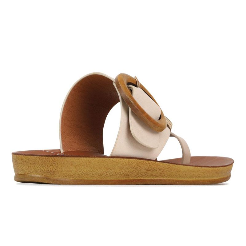 Los Cabos Dama Slide image number 1