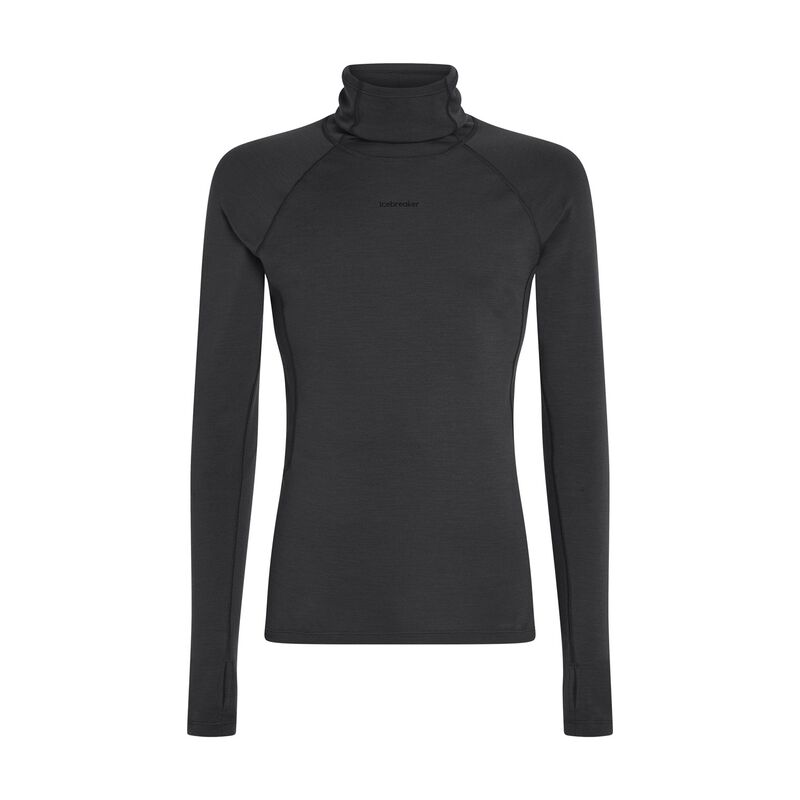 Icebreaker M 300 MerinoFine Polar LS Roll Neck image number 0