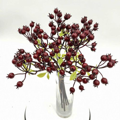 Rosehip Bundle x 5 Stems