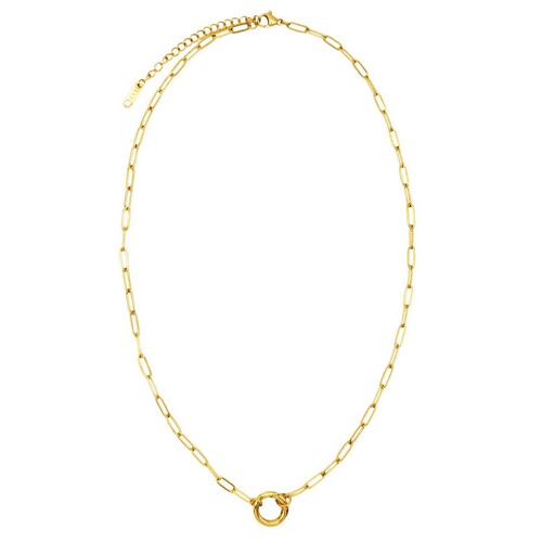 PETiT MOMENTS Paperclip Carabiner Necklace Chain