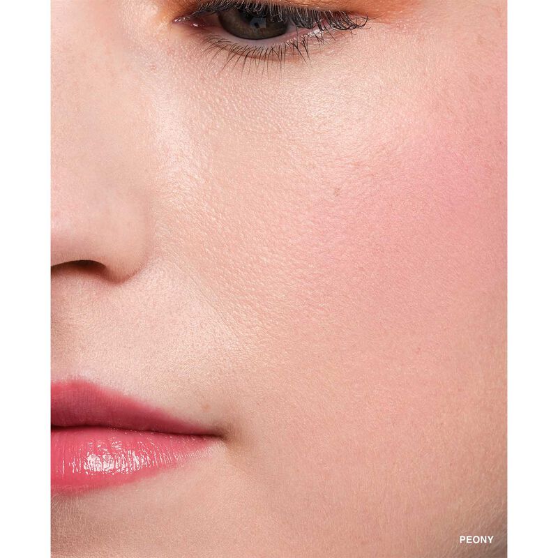 Bobbi Brown Pot Rogue Velvet Matte image number 30
