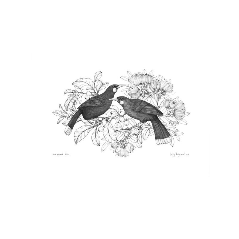 Katy Hayward Print Our Sacred Huia- A4 image number 0