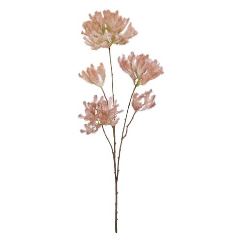 Alison's Acquisitions Smoke Tree Spray Pink