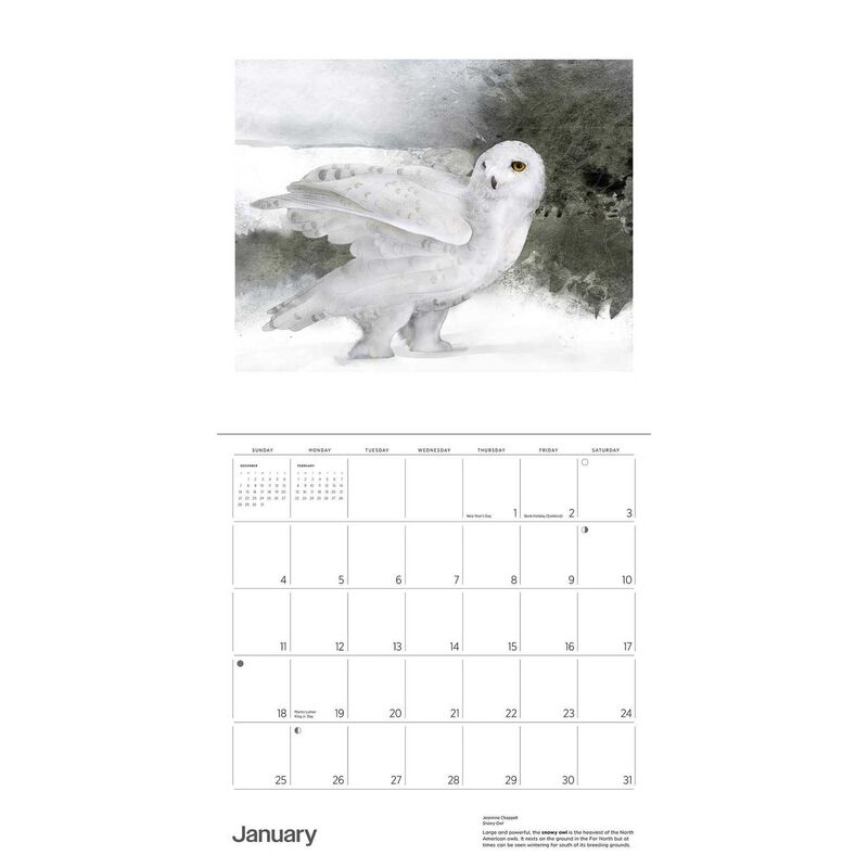 Pomegranate Owls 2026 Wall Calendar image number 1