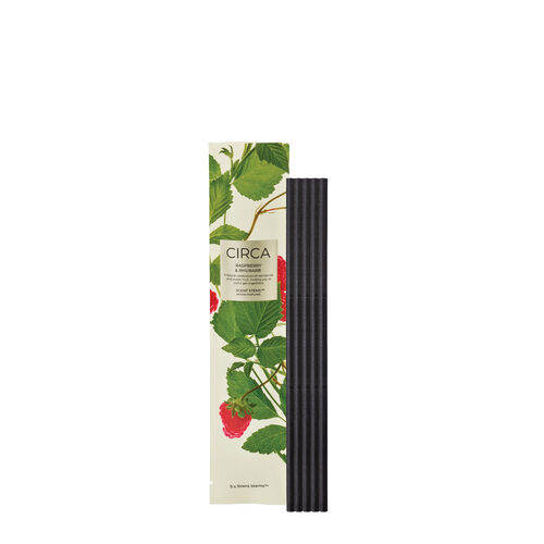 CIRCA Raspberry & Rhubarb Replacement Scent Stems