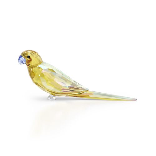 Swarovski Jungle Beats - Yellow Parakeet Lechee
