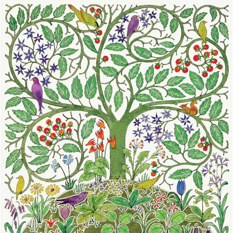 Eden Card image number 0