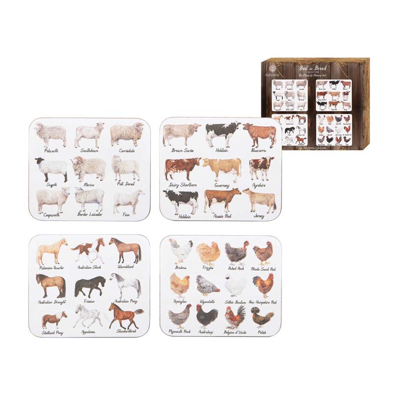 Ashdene Best In Breed 4Pk Assorted Coaster image number 1