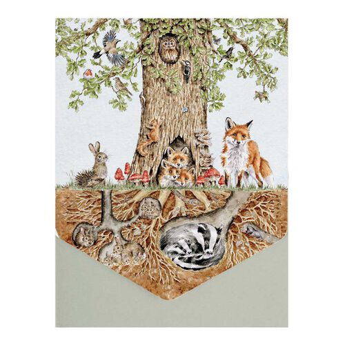 Image Gallery Nature Woodland Notecard Pack 8