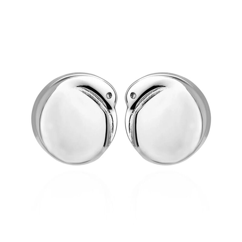 Boh Runga Kiwi Studs image number 0
