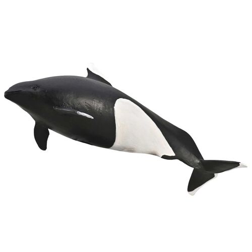 Collecta Dall's Porpoise Figurine M