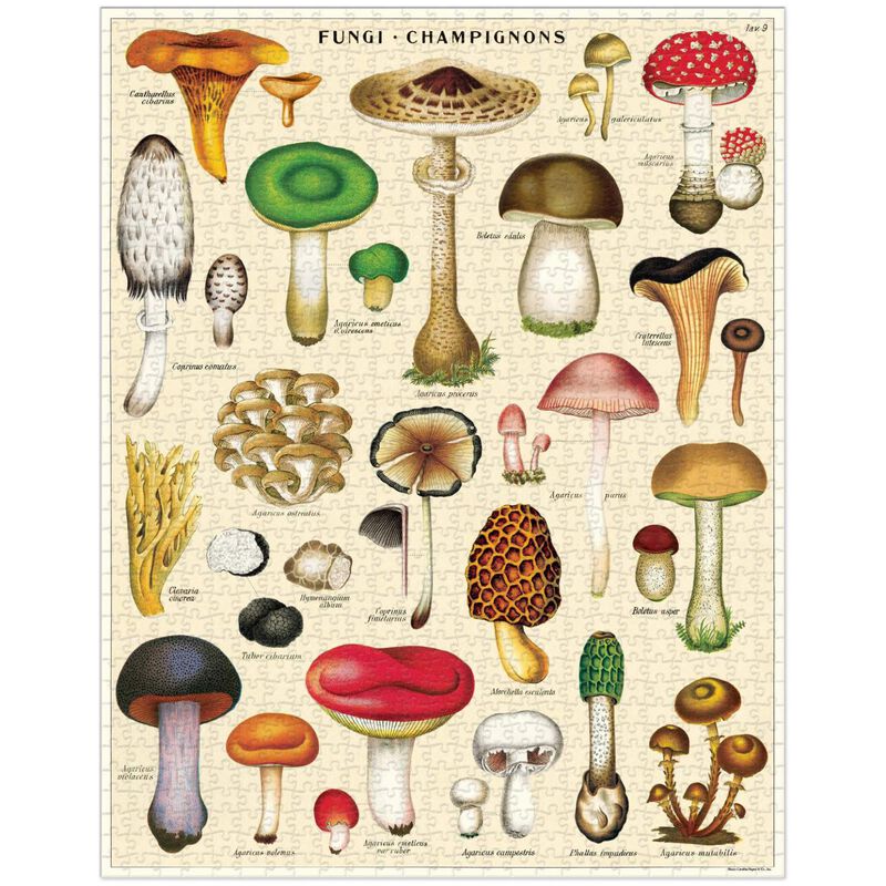 Mushrooms 1000 Pce Vintage Puzzle image number 1