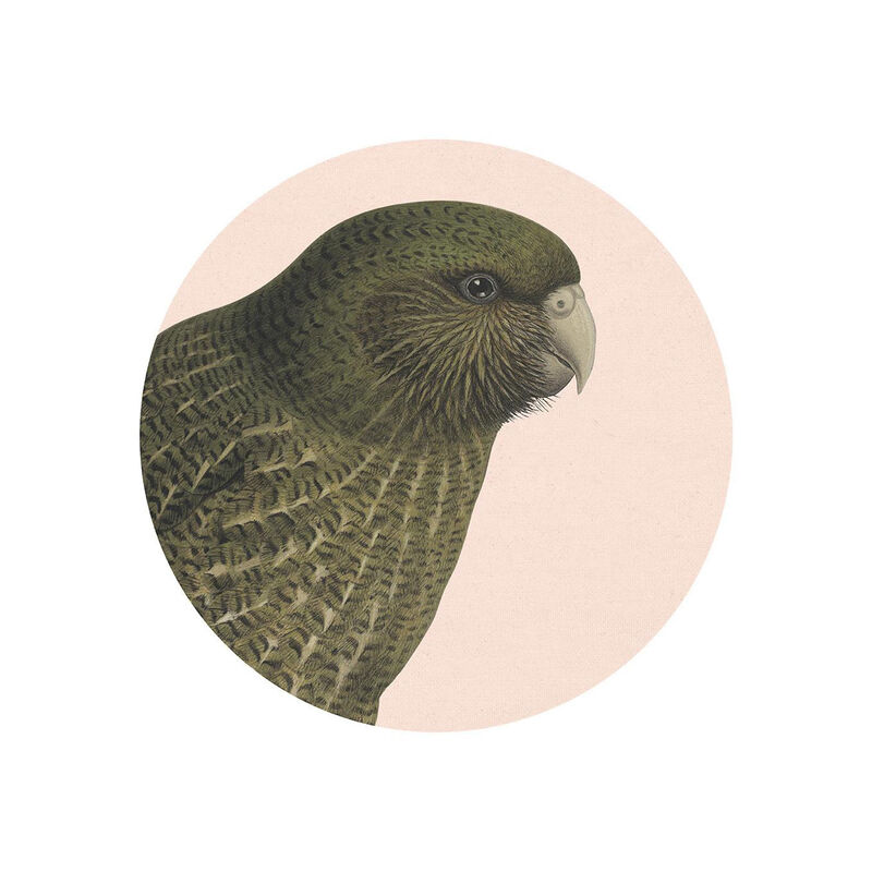 Hushed Pink Kakapo Art Spot Small image number 0
