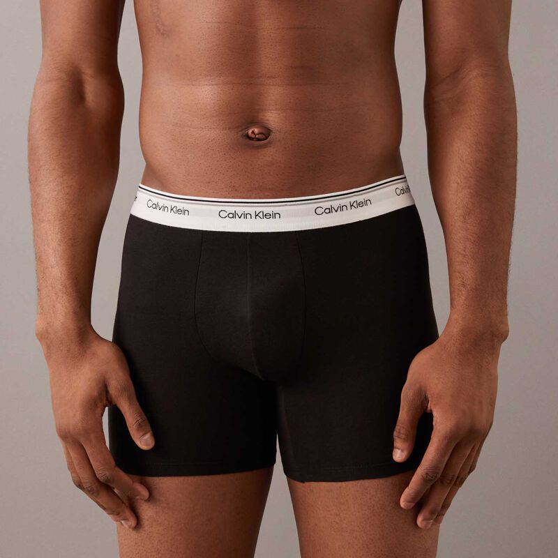 Calvin Klein Boxer Briefs image number 2