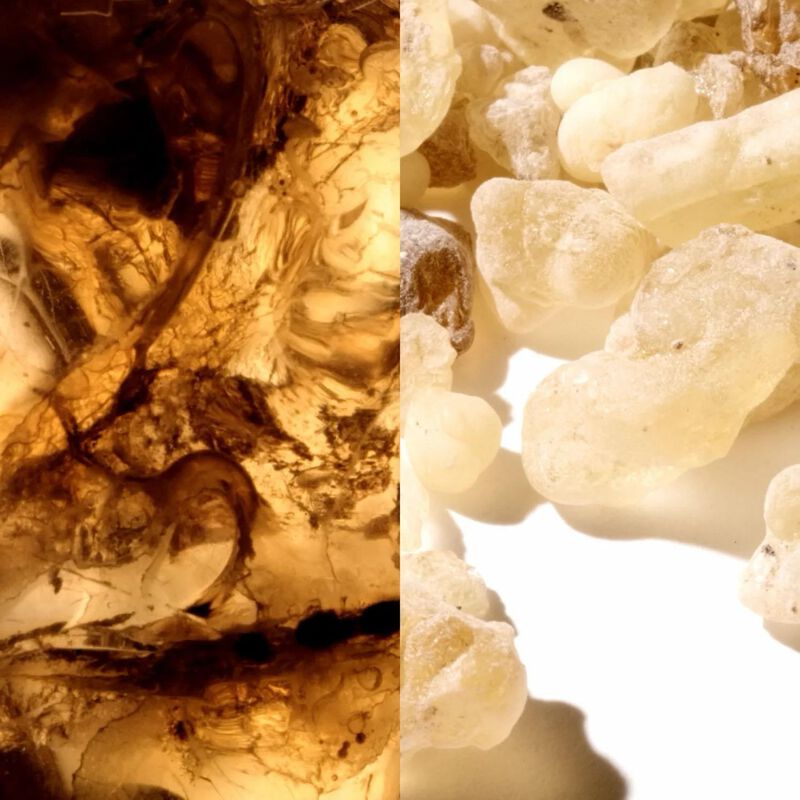 Montblanc Collection Black Meisterst&uuml;ck EDP 125ml image number 2