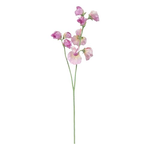 Alison's Acquisitions Sweetpea Spray x 2 - Lilac