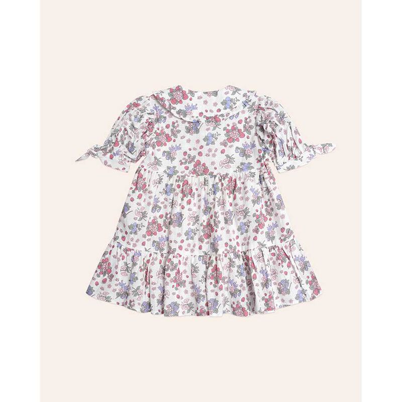 Huxbaby Stawberry Garden Tiered Smock Dress 6M-2Y image number 1