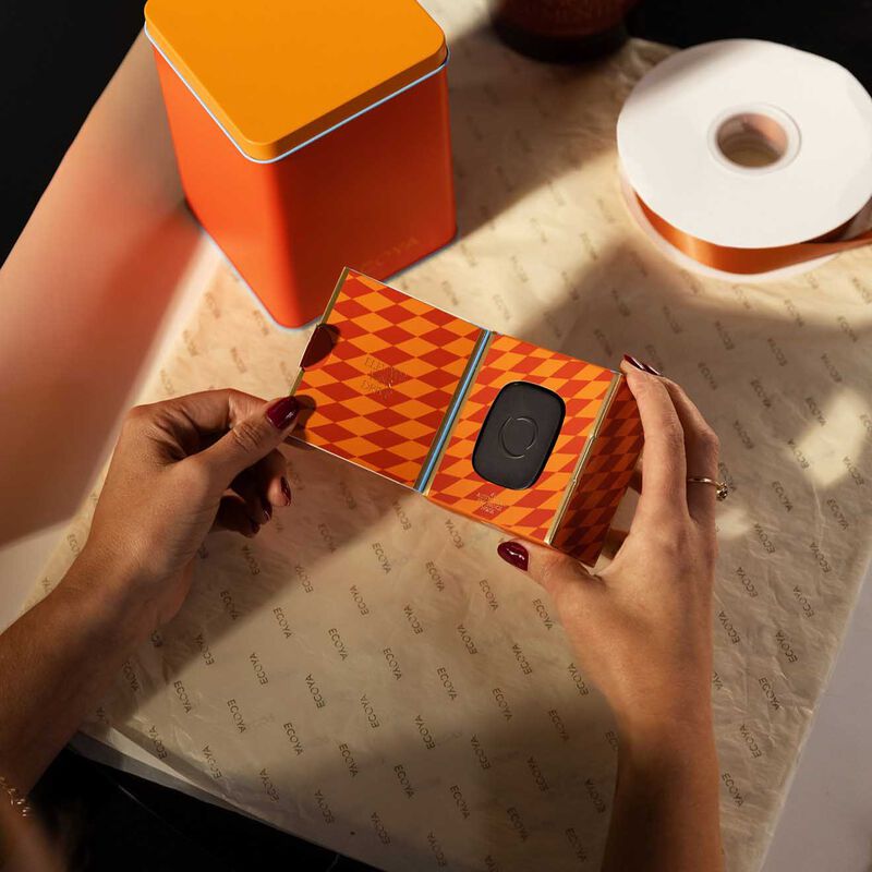 ECOYA Spiced Clementine Car Diffuser Set image number 1