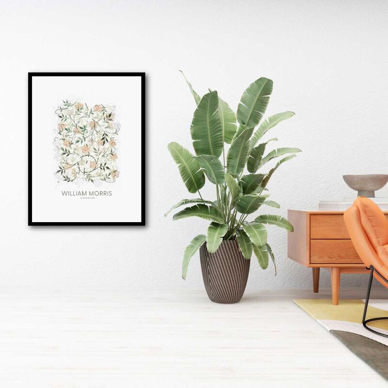 William Morris Jasmine A2 Framed Print, Contemporary Black Frame image number 1
