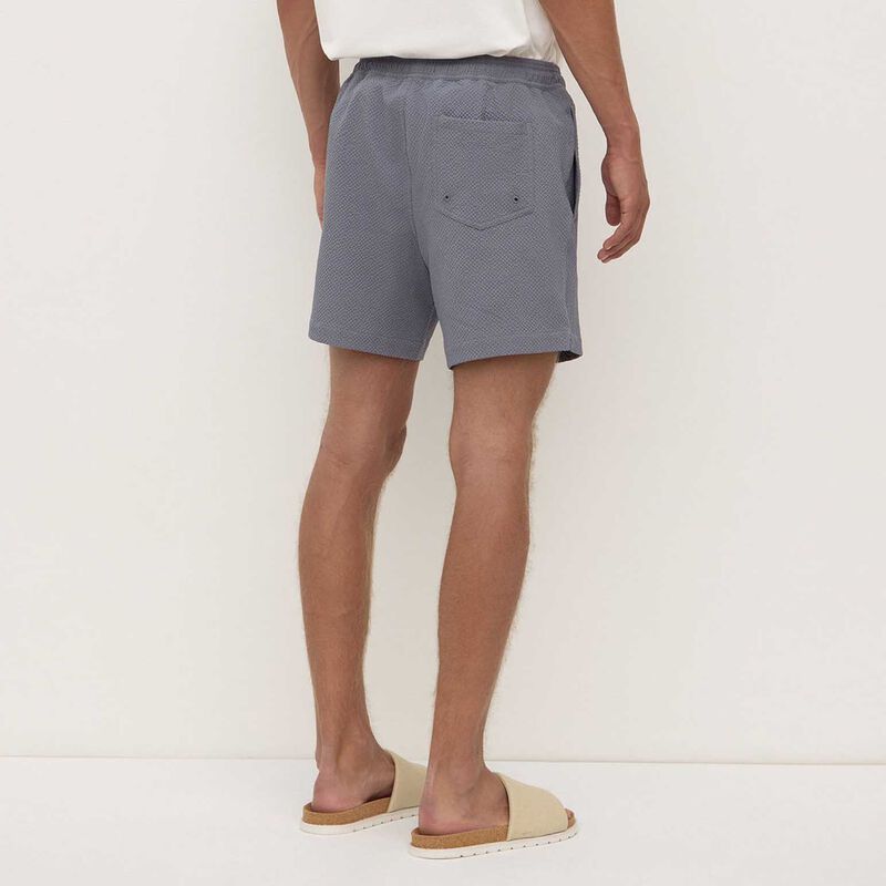 Assembly Label Seth Swim Short Ashphalt image number 1