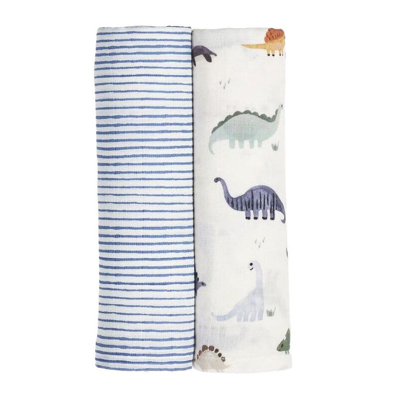 Pottery Barn Kids Organic Dillon Dino Swaddle Set Of 2 image number 0