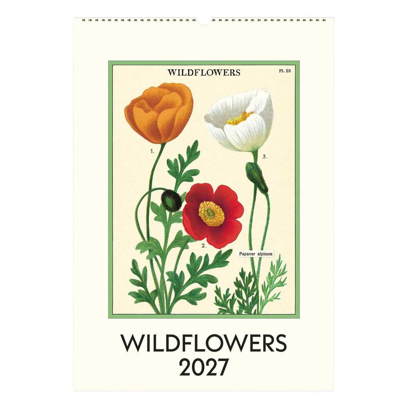 Cavallini Wildflowers Wall Calendar 2027 image number 0