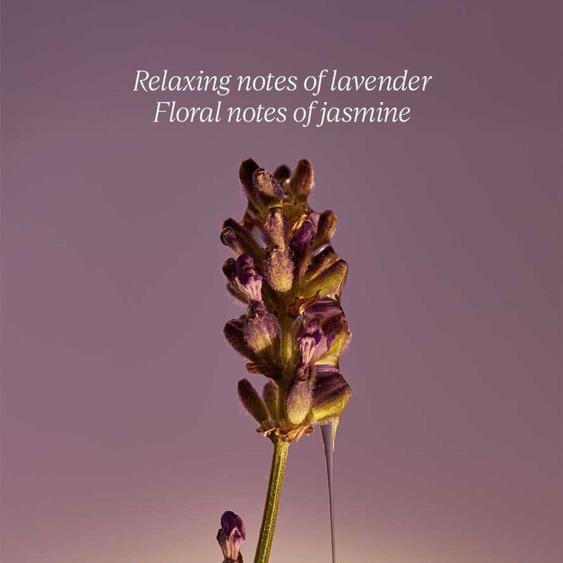 L'Occitane Shea Lavender Liquid Soap Ref 500ml image number 2