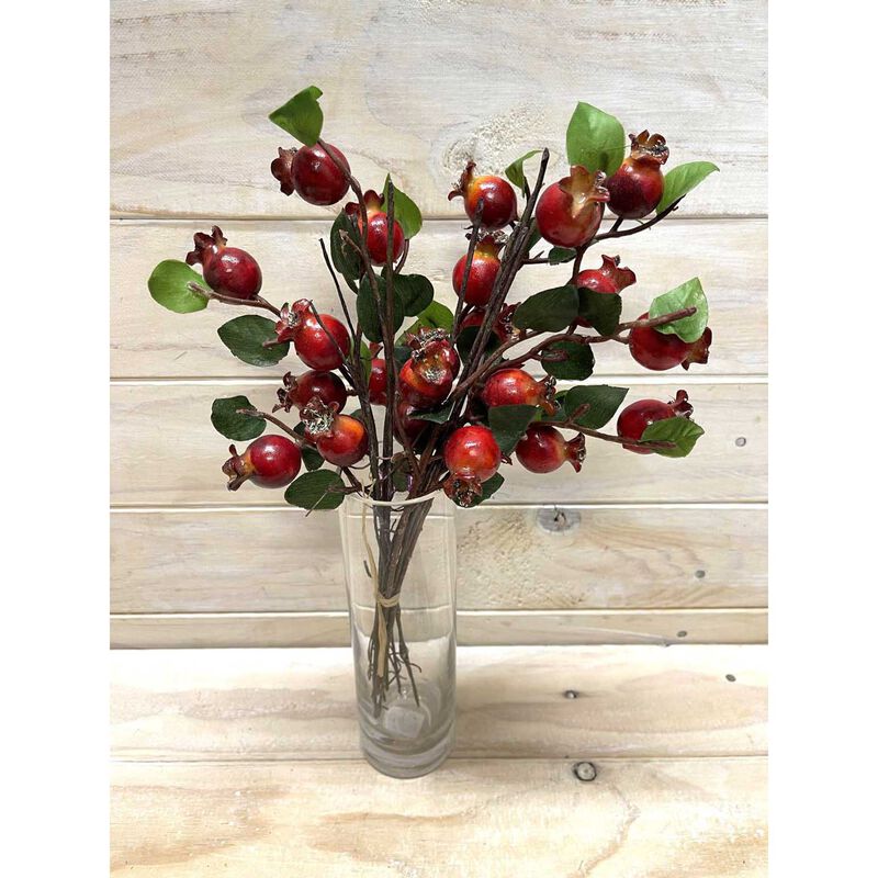 Large Rosehip Bundle image number 0
