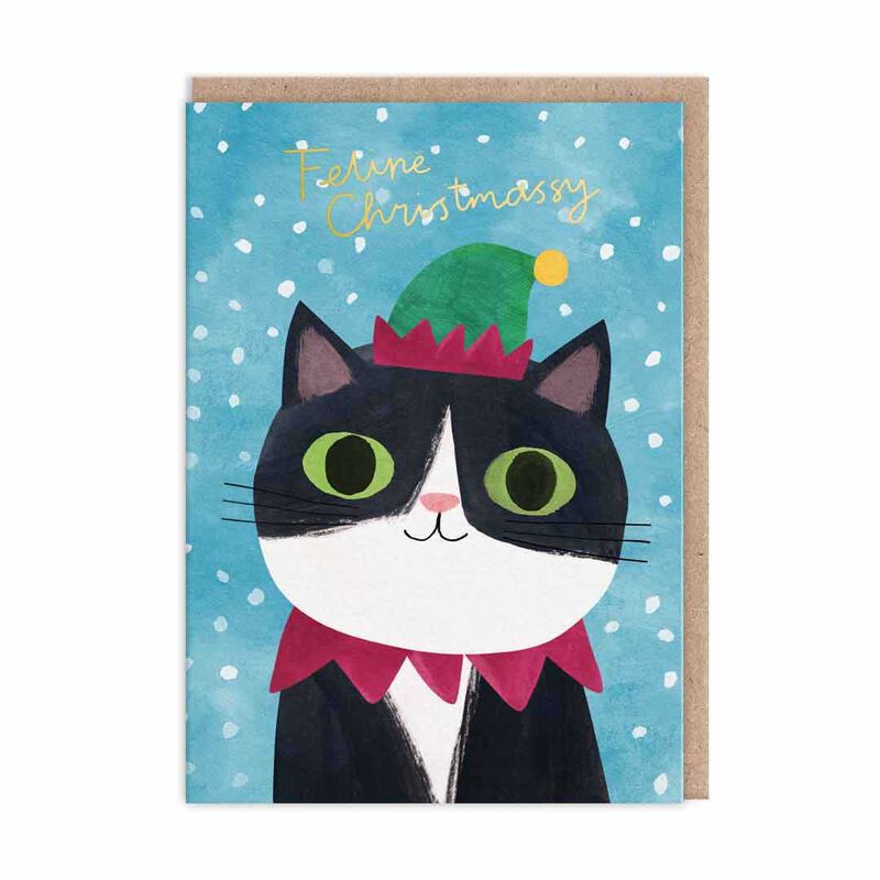 Ohh Deer Cats in Hats Pack of 9 Christmas Cards - 3 Designs image number 1