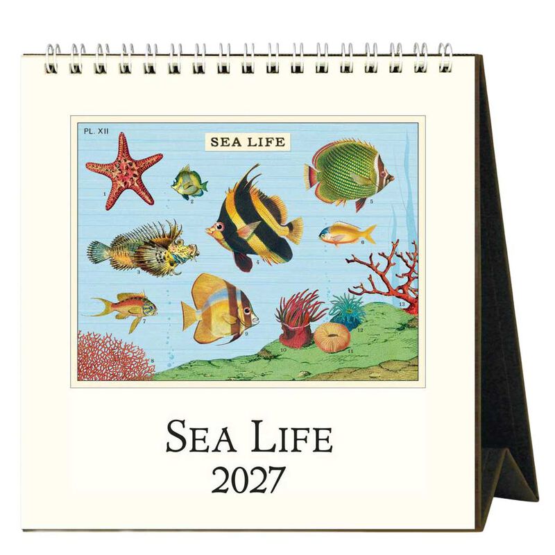 Cavallini Sea Life Desk Calendar 2027 image number 0