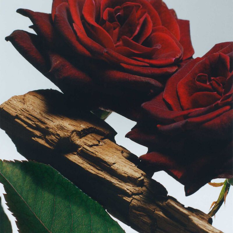 Jo Malone London Velvet Rose & Oud Body Spray 150ml image number 1