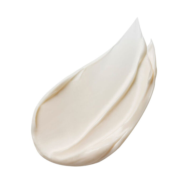 Est&eacute;e Lauder Advanced Night Repair Overnight Treatment 65ml image number 1