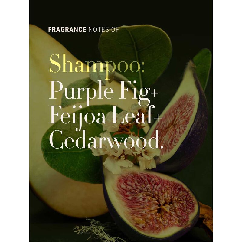Antipodes Fig + Feijoa Repair & Nourish Shampoo 340ml image number 1